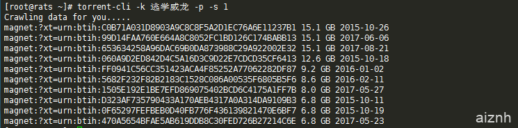 Linux VPS使用torrent-cli命令行获取电影等资源的BT磁力