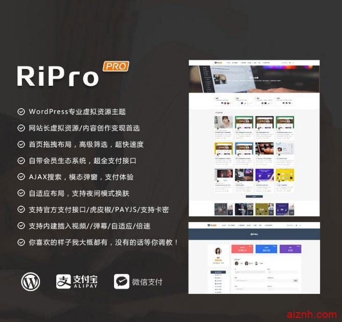 WordPress主题 RiProV7.1主题最新破解去授权无限制版本