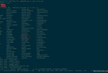 linux 安装vim 8.2(支持python3)-爱站程序员基地