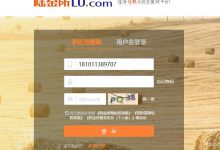 兄弟，别再爬妹子图了整点JS逆向吧--陆金所密码加密破解-爱站程序员基地