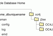 Oracle Enterprise Manager（OEM） EM 配置-爱站程序员基地