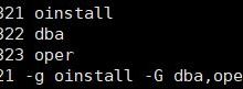 linux安装Oracle19c-爱站程序员基地