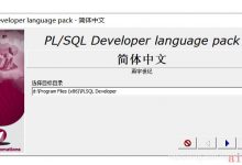 连接Oracle最能打的工具PLSQL如何优雅的安装-爱站程序员基地