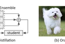 AutoML论文笔记（十）Towards Oracle Knowledge Distillation with Neural Architecture Search：基于知识蒸馏的神经网络搜索-爱站程序员基地