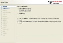 Oracle 2019c安装闪退解决过程-爱站程序员基地
