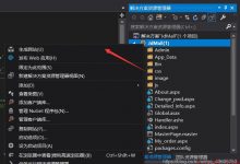 ASP.NET——网站配置、发布与部署-爱站程序员基地