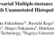 【论文笔记】CVPR2020 Multi-scale Domain-adversarial Multiple-instance CNN for Cancer Subtype Classificatio-爱站程序员基地