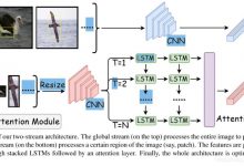 Focus Longer to See Better: Recursively Reﬁned Attention for Fine-Grained Image Classiﬁcation-爱站程序员基地