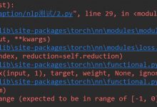 pytorch 损失函数 IndexError: Dimension out of range (expected to be in range of [-1, 0], but got 1)-爱站程序员基地