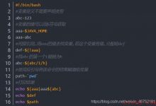 Linux虚拟机中shell编程（入门）-爱站程序员基地