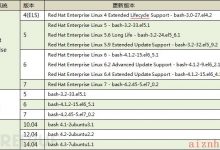 Shellshock漏洞分析与攻击实践-爱站程序员基地