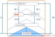 Shell 编程规范与变量-爱站程序员基地