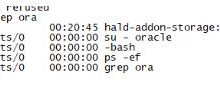 Linux下启动oracle服务-爱站程序员基地