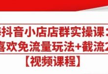 大海抖音小店店群实操课  免流量玩法 截流2.0-爱站程序员基地