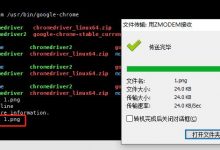 centos7谷歌chrome内网部署演示-爱站程序员基地