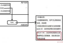 Linux系统编程之进程控制（进程创建、终止、等待及替换）-爱站程序员基地