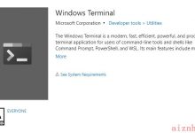 [ Terminal ] 在 Windows Terminal 中使用 Git Bash-爱站程序员基地